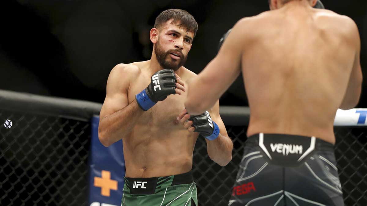 Yair ‘Pantera’ Rodríguez vs Patricio Pitbull: ¿Cómo llega el mexicano a UFC 314 al combate por el peso pluma?