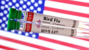 Estos son los síntomas de la gripe aviar H5N1 en personas y lo que tiene a California en estado de emergencia