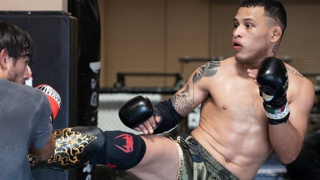 Boletos para Lazy Boy en UFC México 2025: precios, cómo comprar y horario