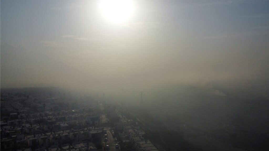 Incendios en el Bosque de la Primavera